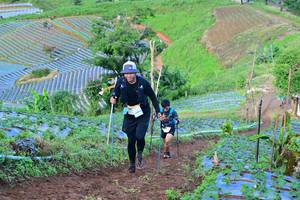 BIB: 
                            <button type="button" onclick="openModal(13383089)" class="btn btn-primary btn-sm float-right btn-popup" data-toggle="modal" data-target=".modal-high-quality">
                        <i class="fas fa-shopping-cart"></i> Add to Cart
                    </button>
                                            <button type="button" onclick="isThisMe(13383089, true)" class="btn btn-success btn-sm float-right btn-popup btn-isme hidden" data-toggle="tooltip" data-placement="bottom" title="นี่คือรูปของคุณใช่ไหม คลิกที่นี่เพื่อเอาเข้าอัลบั้ม">
                        <i class="fas fa-plus"></i> Add to album
                    </button>
                    <button type="button" onclick="isThisMe(13383089, false)" class="btn btn-warning btn-sm float-right btn-popup btn-isnotme hidden">
                        <i class="fas fa-ban"></i> Remove from album
                    </button>